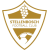 Stellenbosch FC